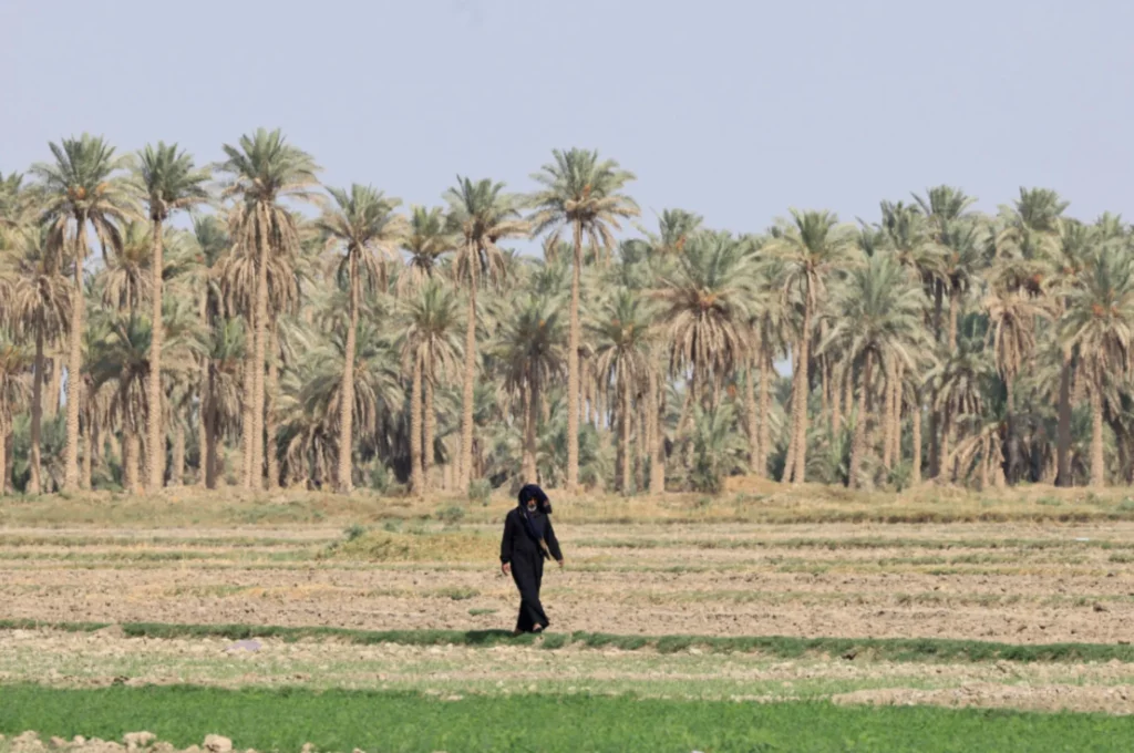 Nhu cầu nông sản ở iraq là rất lớn
