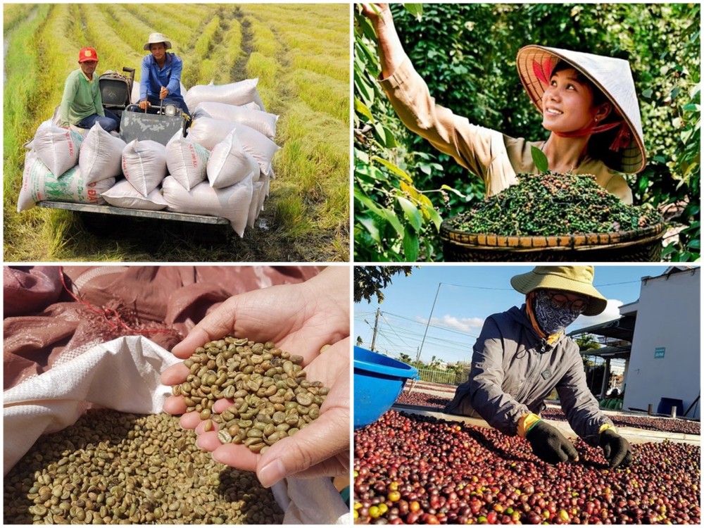 Export of Vietnamese products